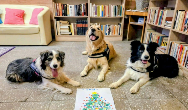 Kutyás karácsony a Hospice osztályon