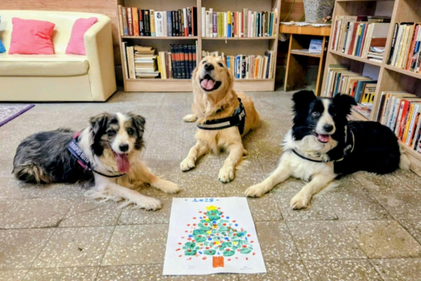 Kutyás karácsony a Hospice osztályon