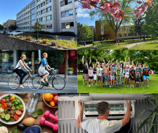 Egészséget támogató kórházi környezet