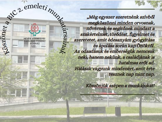 Köszönet a Belgyógyászati-Infektológiai Centrum (BIC) 2. emeleti mukatársainak